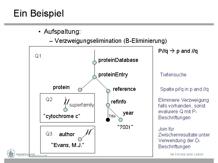 Ein Beispiel • Aufspaltung: – Verzweigungselimination (B-Eliminierung) P//q p and //q Q 1 protein.