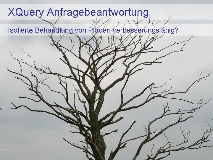 XQuery Anfragebeantwortung Isolierte Behandlung von Pfaden verbesserungsfähig? 