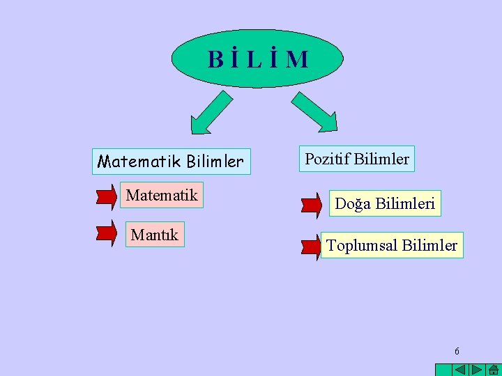 BİLİM Matematik Bilimler Matematik Mantık Pozitif Bilimler Doğa Bilimleri Toplumsal Bilimler 6 