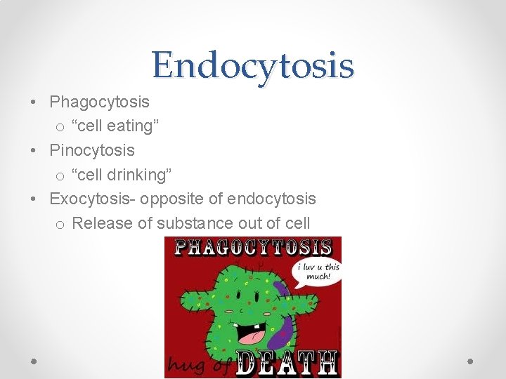Endocytosis • Phagocytosis o “cell eating” • Pinocytosis o “cell drinking” • Exocytosis- opposite Endocytosis • Phagocytosis o “cell eating” • Pinocytosis o “cell drinking” • Exocytosis- opposite