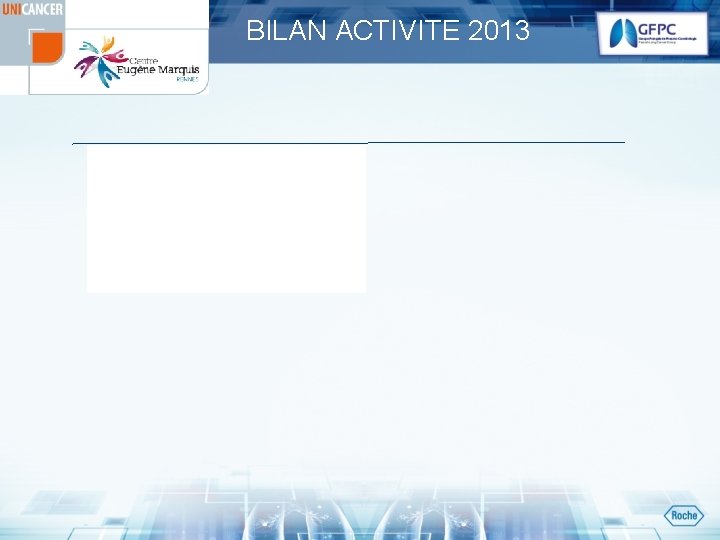 BILAN ACTIVITE 2013 