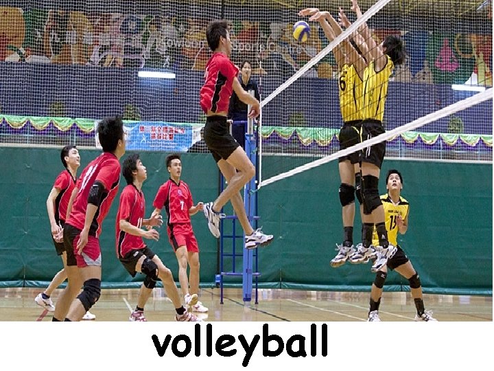 volleyball volleyball