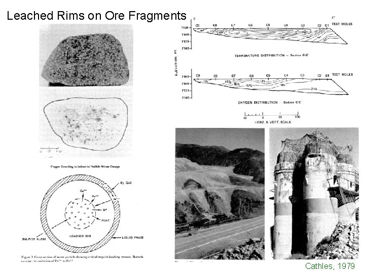 Leached Rims on Ore Fragments Cathles, 1979 