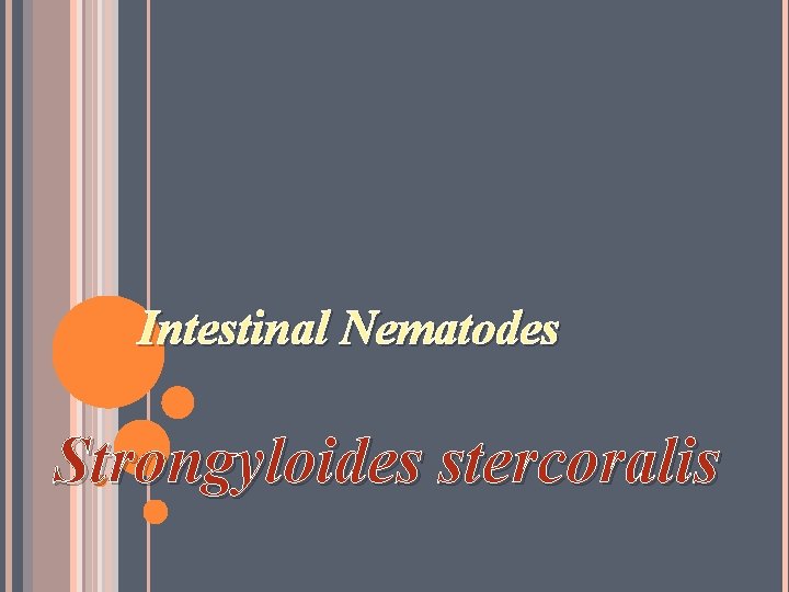Intestinal Nematodes Strongyloides stercoralis 