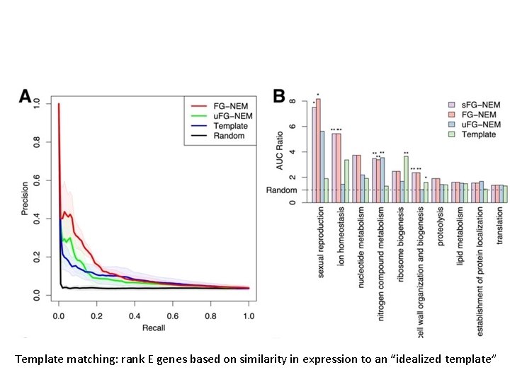 Template matching: rank E genes based on similarity in expression to an “idealized template”