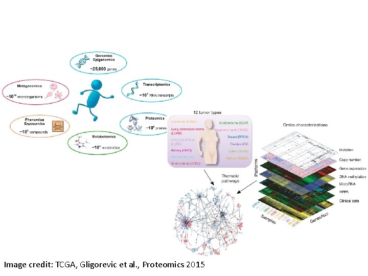 Image credit: TCGA, Gligorevic et al. , Proteomics 2015 