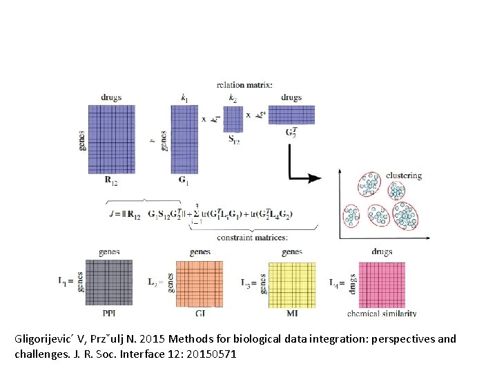 Gligorijevic´ V, Przˇulj N. 2015 Methods for biological data integration: perspectives and challenges. J.