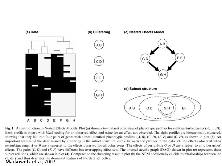Markowetz et al, 2007 