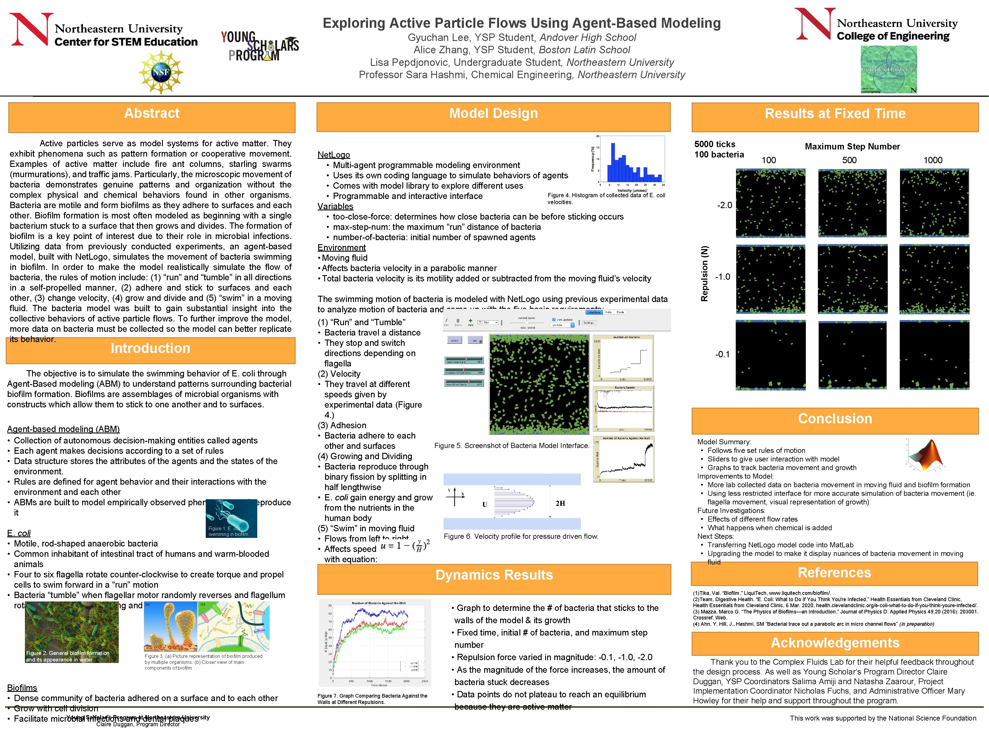 Exploring Active Particle Flows Using Agent-Based Modeling Gyuchan Lee, YSP Student, Andover High School