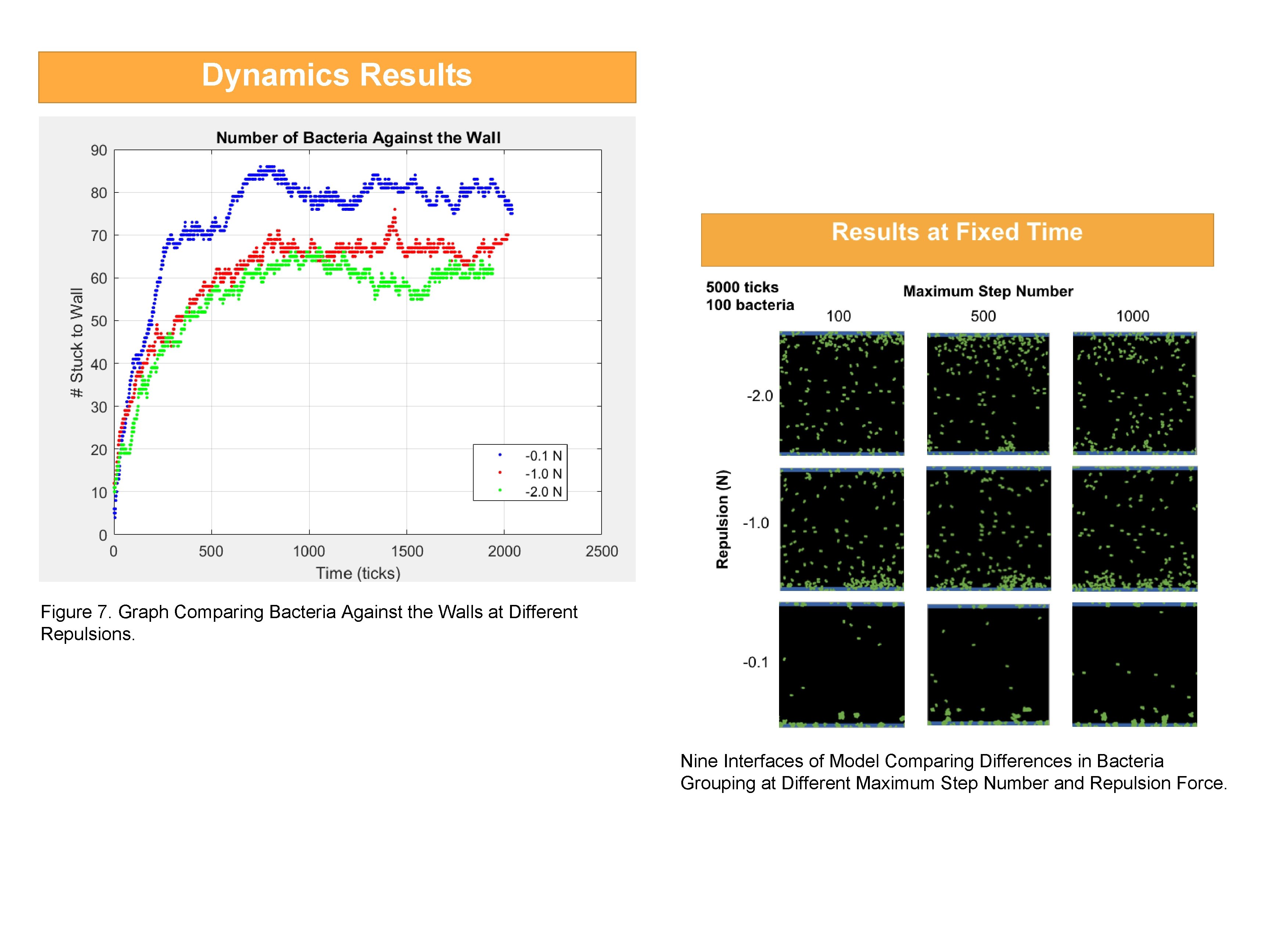 Dynamics Results Figure 7. Graph Comparing Bacteria Against the Walls at Different Repulsions. Nine