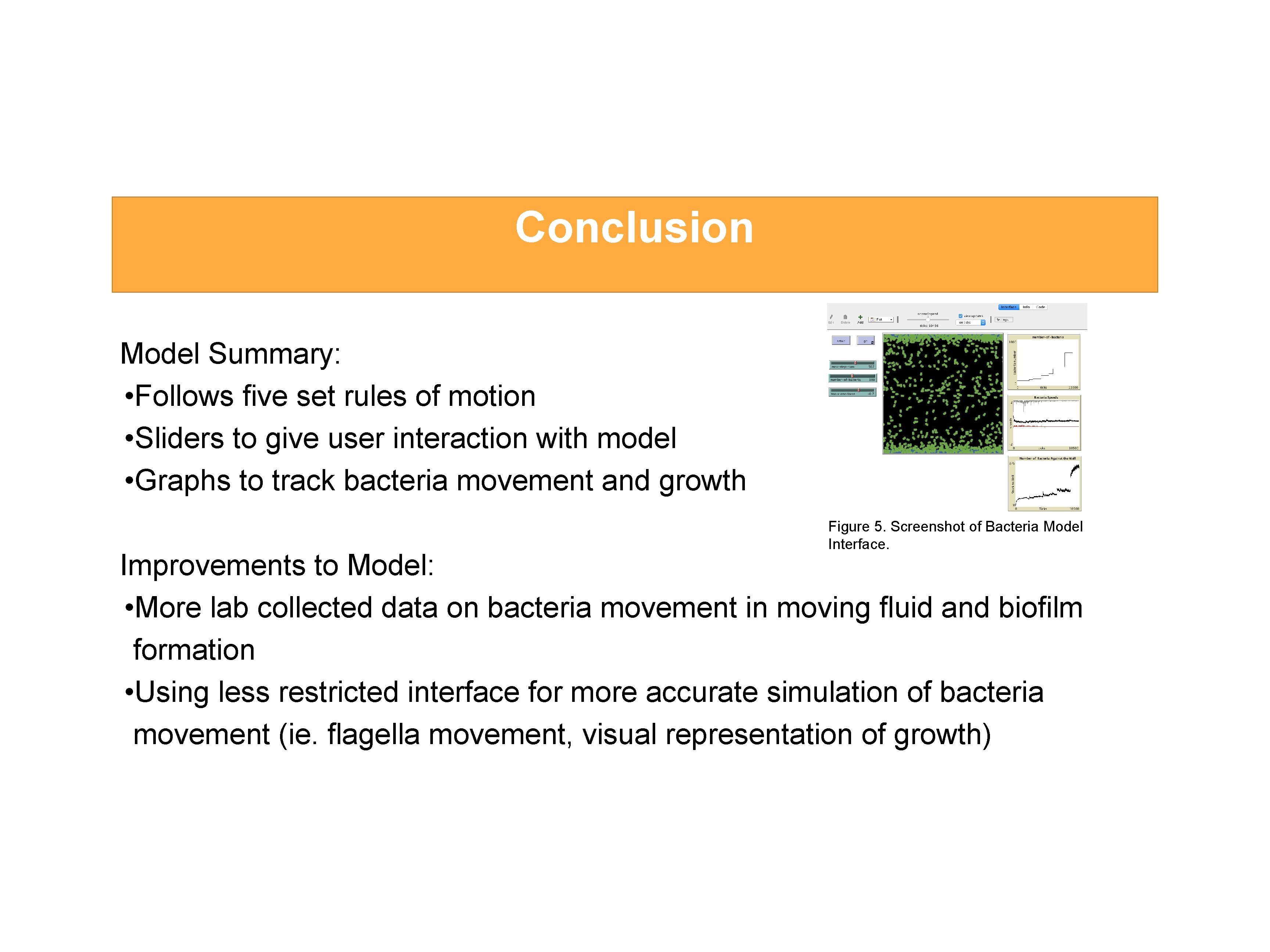 Conclusion Model Summary: • Follows five set rules of motion • Sliders to give