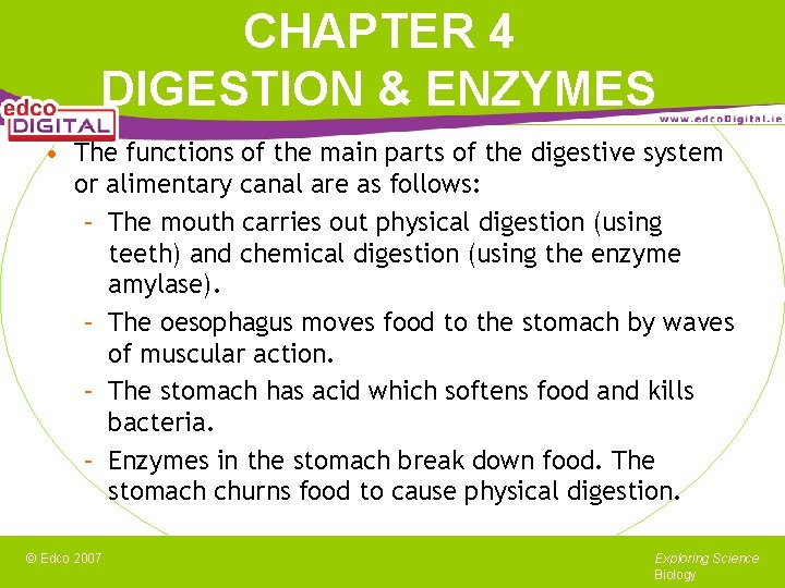 CHAPTER 4 DIGESTION & ENZYMES • The functions of the main parts of the