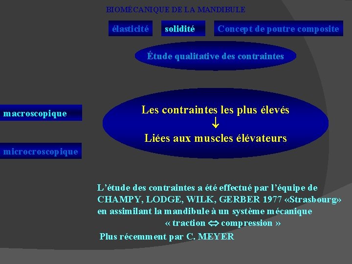 BIOMÉCANIQUE DE LA MANDIBULE élasticité solidité Concept de poutre composite Étude qualitative des contraintes