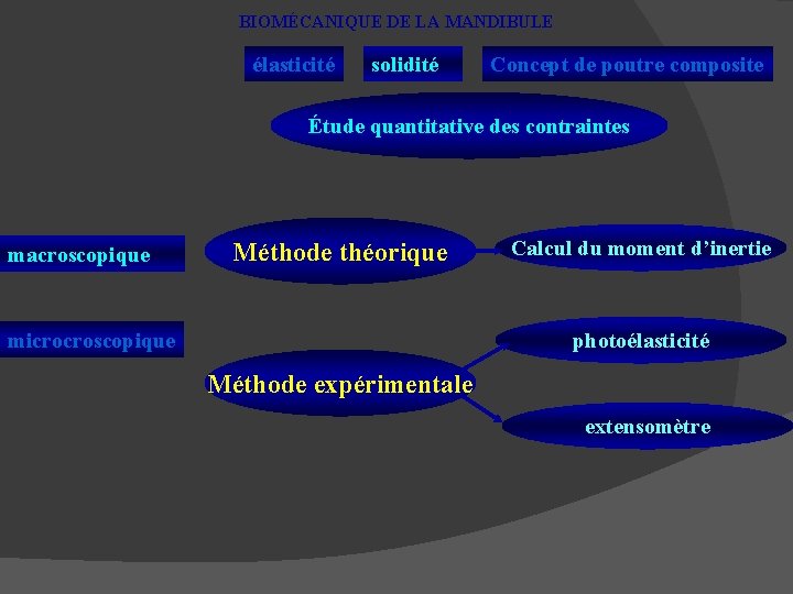 BIOMÉCANIQUE DE LA MANDIBULE élasticité solidité Concept de poutre composite Étude quantitative des contraintes