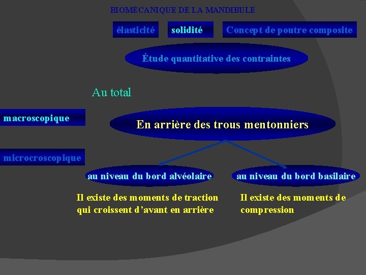 BIOMÉCANIQUE DE LA MANDIBULE élasticité solidité Concept de poutre composite Étude quantitative des contraintes