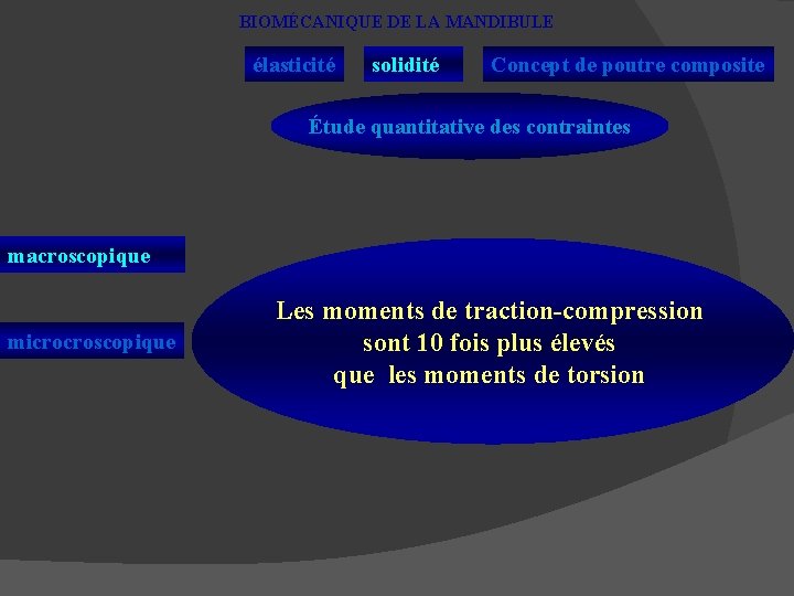 BIOMÉCANIQUE DE LA MANDIBULE élasticité solidité Concept de poutre composite Étude quantitative des contraintes