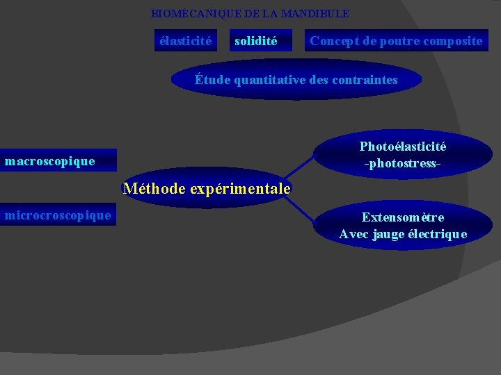 BIOMÉCANIQUE DE LA MANDIBULE élasticité solidité Concept de poutre composite Étude quantitative des contraintes