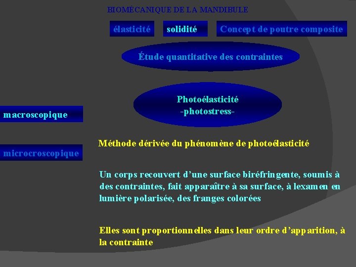 BIOMÉCANIQUE DE LA MANDIBULE élasticité solidité Concept de poutre composite Étude quantitative des contraintes