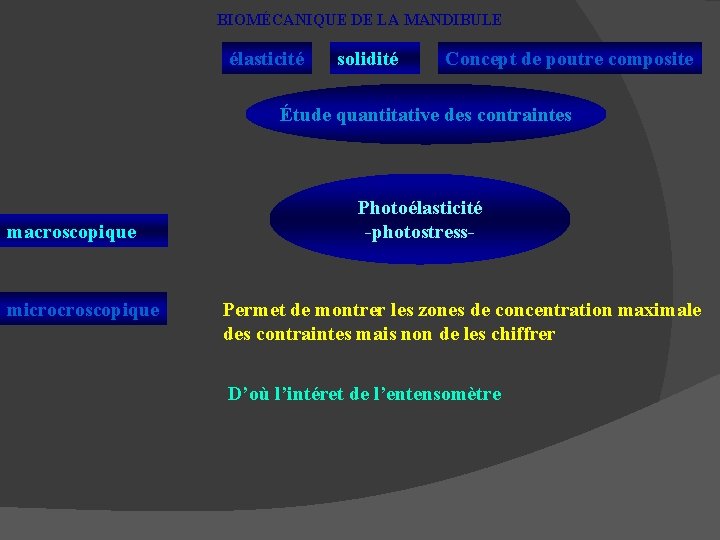 BIOMÉCANIQUE DE LA MANDIBULE élasticité solidité Concept de poutre composite Étude quantitative des contraintes