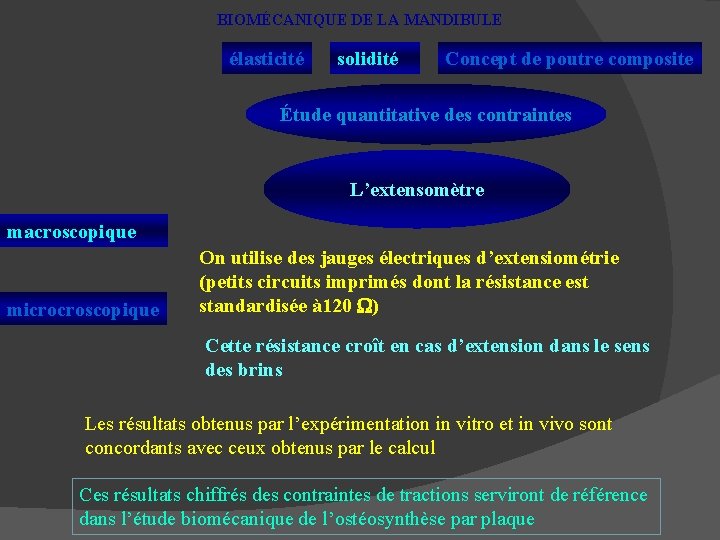 BIOMÉCANIQUE DE LA MANDIBULE élasticité solidité Concept de poutre composite Étude quantitative des contraintes