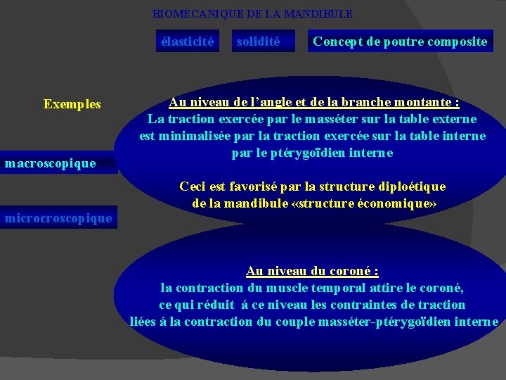 BIOMÉCANIQUE DE LA MANDIBULE élasticité Exemples macroscopique microcroscopique solidité Concept de poutre composite Au