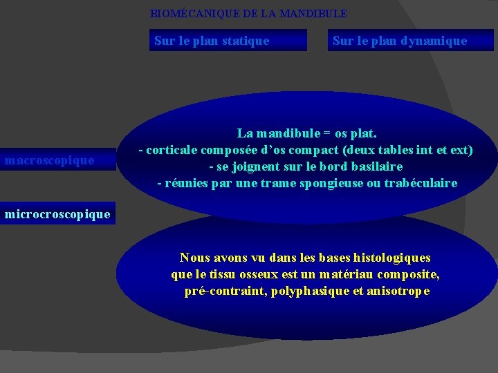 BIOMÉCANIQUE DE LA MANDIBULE Sur le plan statique macroscopique Sur le plan dynamique La