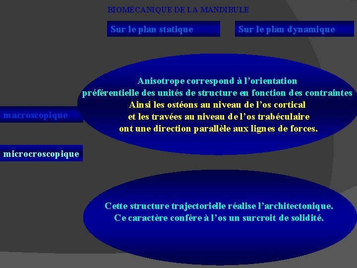 BIOMÉCANIQUE DE LA MANDIBULE Sur le plan statique macroscopique Sur le plan dynamique Anisotrope