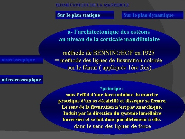 BIOMÉCANIQUE DE LA MANDIBULE Sur le plan statique Sur le plan dynamique a- l’architectonique