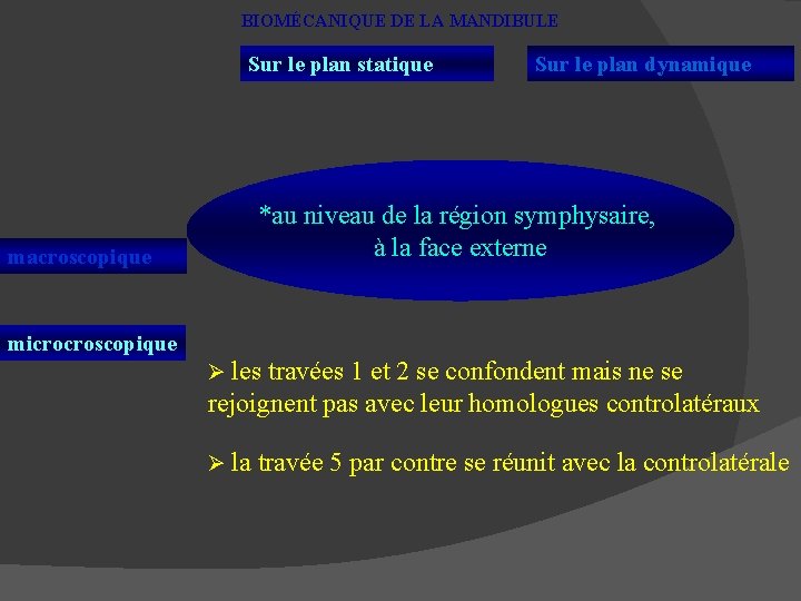 BIOMÉCANIQUE DE LA MANDIBULE Sur le plan statique macroscopique Sur le plan dynamique *au