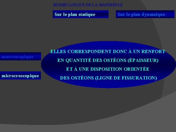 BIOMÉCANIQUE DE LA MANDIBULE Sur le plan statique macroscopique Sur le plan dynamique ELLES