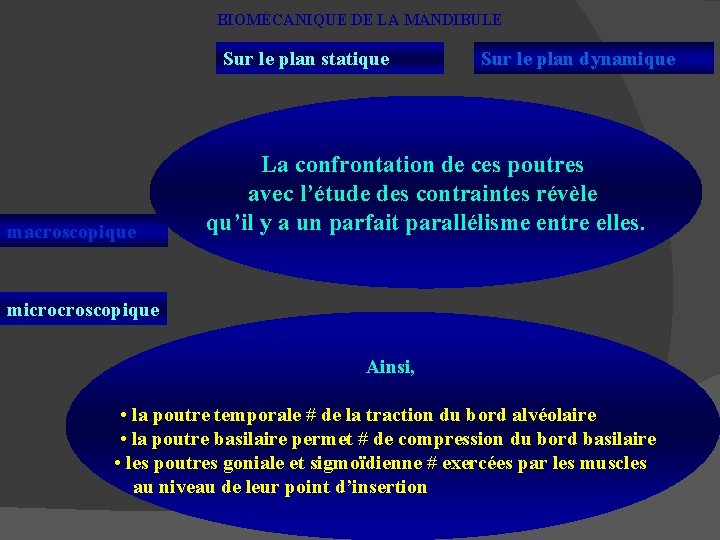 BIOMÉCANIQUE DE LA MANDIBULE Sur le plan statique macroscopique Sur le plan dynamique La