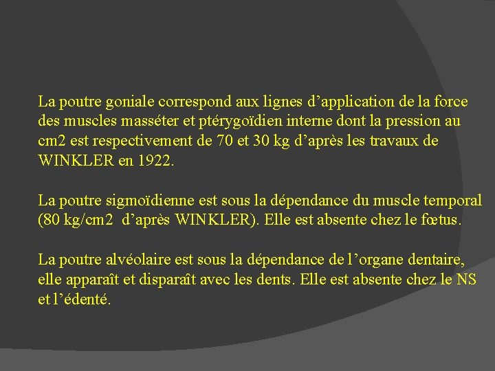 La poutre goniale correspond aux lignes d’application de la force des muscles masséter et