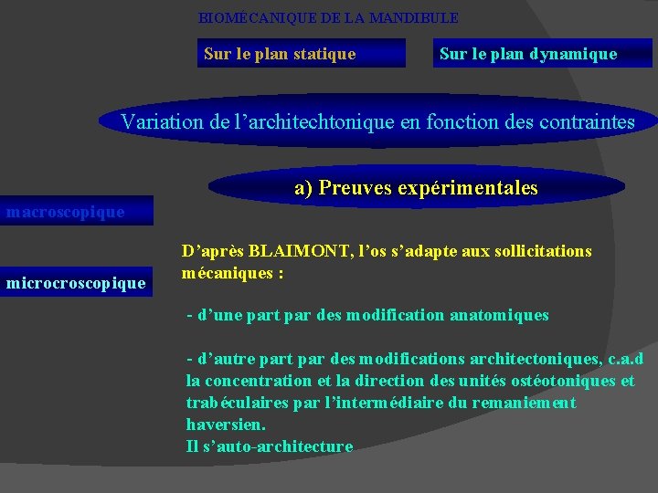 BIOMÉCANIQUE DE LA MANDIBULE Sur le plan statique Sur le plan dynamique Variation de