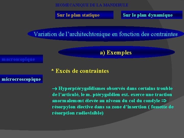 BIOMÉCANIQUE DE LA MANDIBULE Sur le plan statique Sur le plan dynamique Variation de