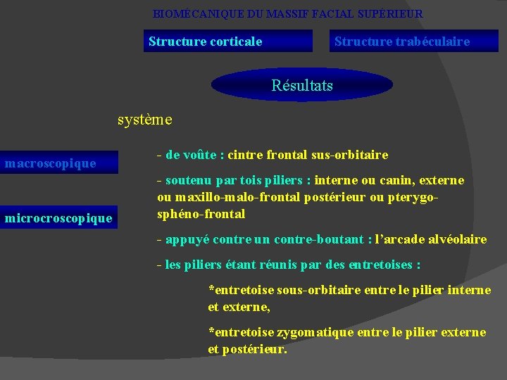 BIOMÉCANIQUE DU MASSIF FACIAL SUPÉRIEUR Structure corticale Structure trabéculaire Résultats système macroscopique microcroscopique -