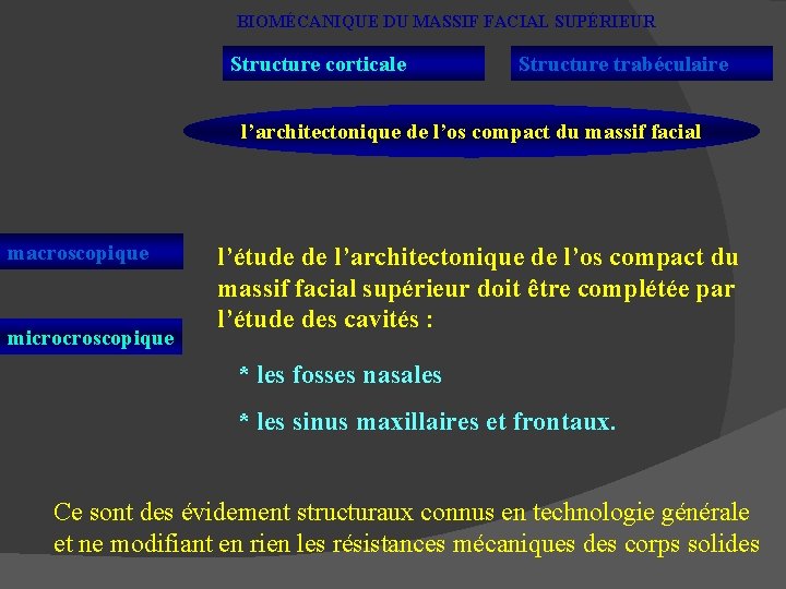 BIOMÉCANIQUE DU MASSIF FACIAL SUPÉRIEUR Structure corticale Structure trabéculaire l’architectonique de l’os compact du