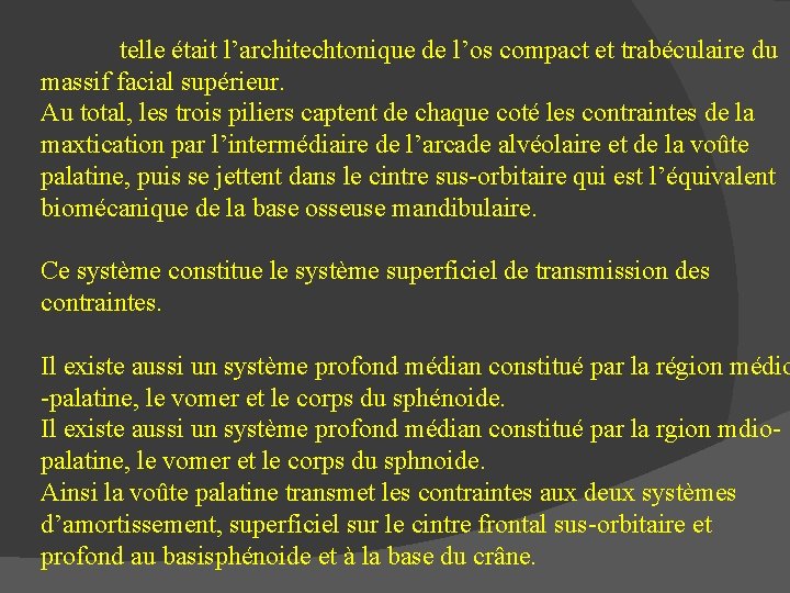 telle était l’architechtonique de l’os compact et trabéculaire du massif facial supérieur. Au total,