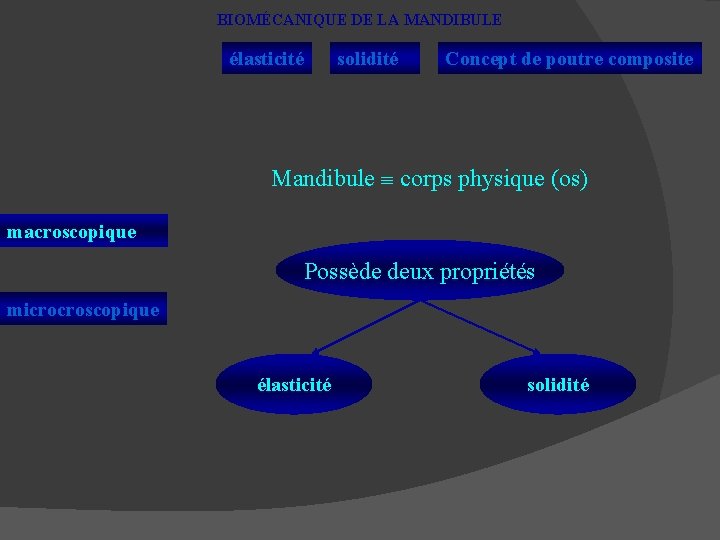 BIOMÉCANIQUE DE LA MANDIBULE élasticité solidité Concept de poutre composite Mandibule corps physique (os)