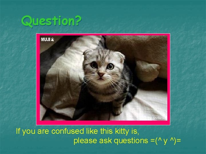 Question? If you are confused like this kitty is, please ask questions =(^ y