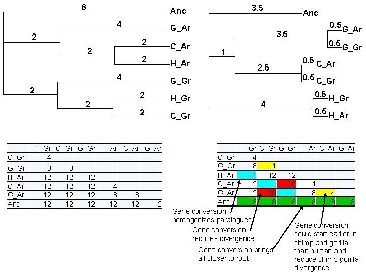 6 4 2 2 C_Ar 2 2 2 8 12 12 2 4 8