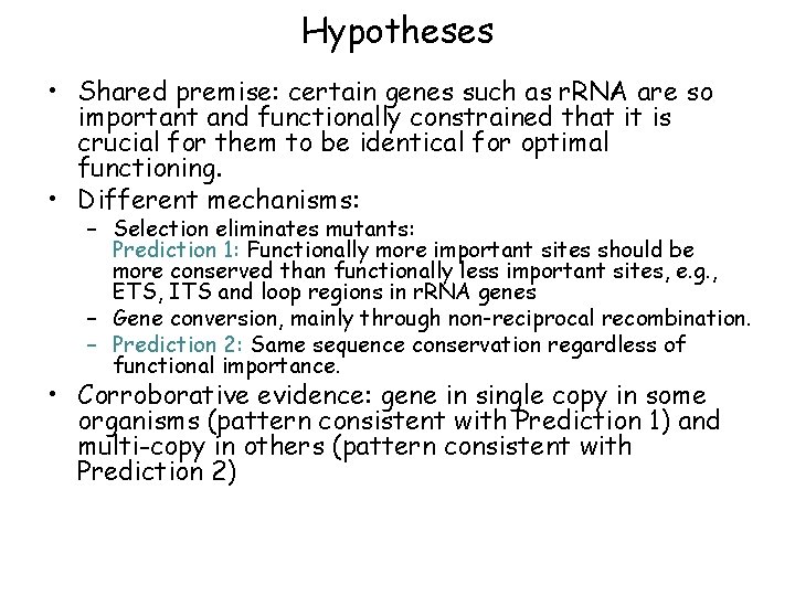 Hypotheses • Shared premise: certain genes such as r. RNA are so important and