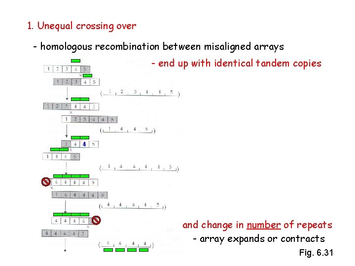 1. Unequal crossing over - homologous recombination between misaligned arrays - end up with