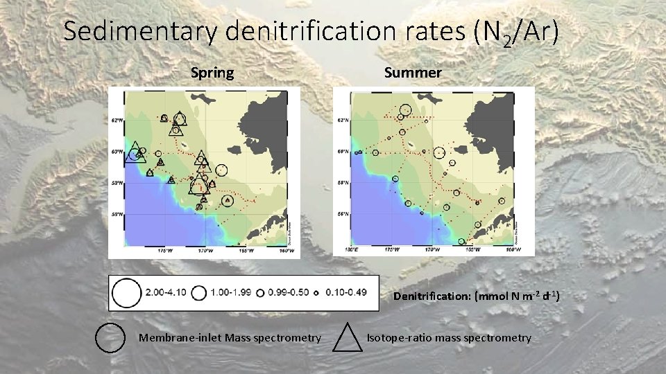 Sedimentary denitrification rates (N 2/Ar) Spring Summer Denitrification: (mmol N m-2 d-1) Membrane-inlet Mass