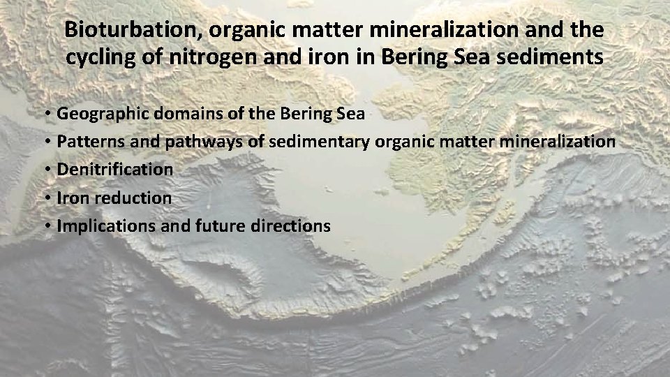 Bioturbation, organic matter mineralization and the cycling of nitrogen and iron in Bering Sea