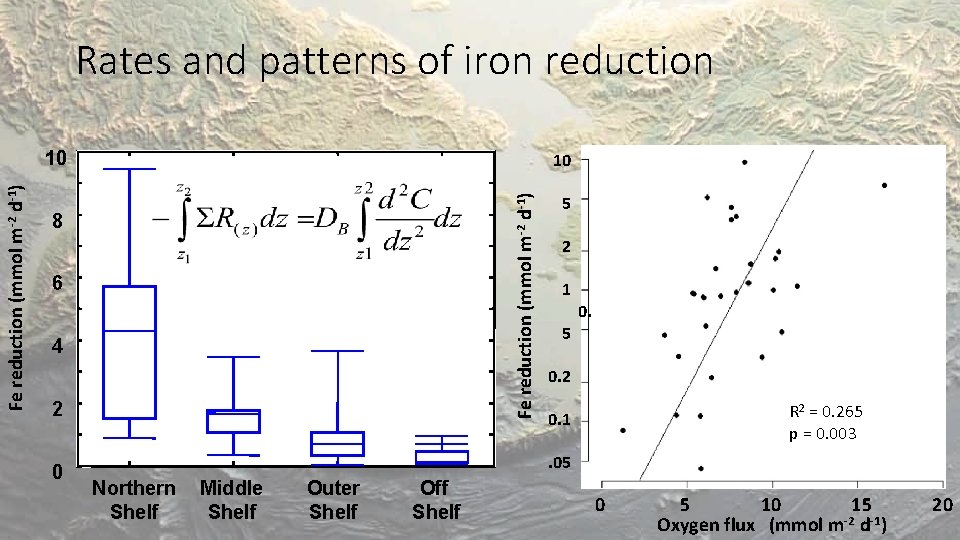 Rates and patterns of iron reduction 10 Fe reduction (mmol m-2 d-1) 10 8