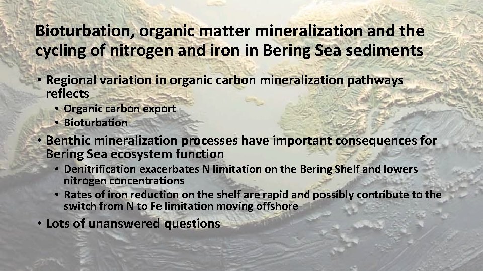Bioturbation, organic matter mineralization and the cycling of nitrogen and iron in Bering Sea