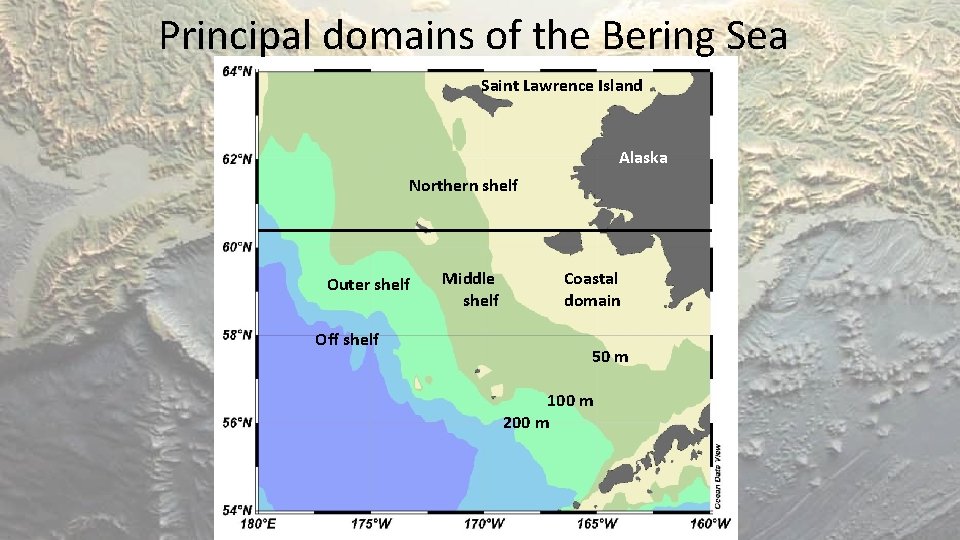 Principal domains of the Bering Sea Saint Lawrence Island Alaska Northern shelf Outer shelf
