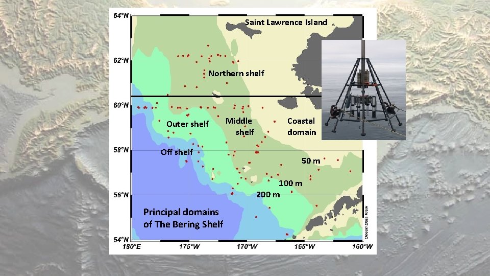 Saint Lawrence Island Northern shelf Outer shelf Off shelf Middle shelf Coastal domain 50