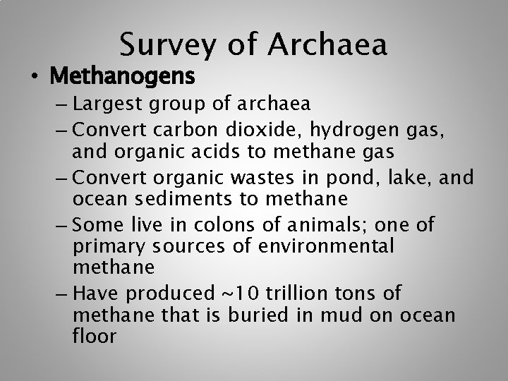 Survey of Archaea • Methanogens – Largest group of archaea – Convert carbon dioxide,