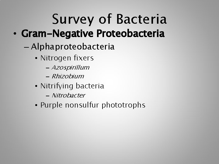 Survey of Bacteria • Gram-Negative Proteobacteria – Alphaproteobacteria • Nitrogen fixers – Azospirillum –